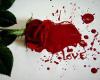 رابطه