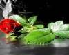 بازیگر زن مشهور ایرانی که ۲۰ سال از شوهرش کوچکتر است+تصاویر