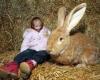 كوچکترین دختر دنیا کنار بزرگترین خرگوش + تصاوير