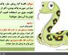 حكم شرعي روغن مار : آيا روغن مار پاك است ؟