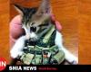 عكس/ گربه انتحاری داعش