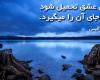 ازدواجم تحميلي بودم من ازشوهرم بد میاد