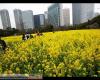 (عکس) مکانی رویایی برای تفریح