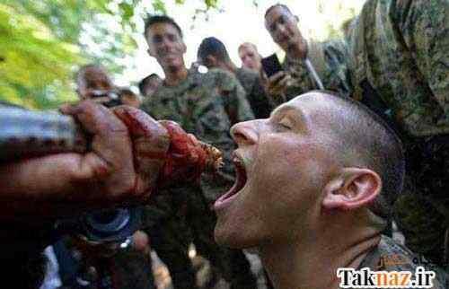 نوشیدن خون مار کبری توسط سربازان آمریکایی +عکس