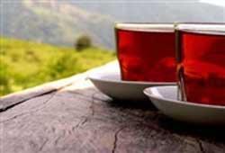 نوشیدن چای پررنگ هنگام سحر موجب تشنگی بیشتر می‌شود 