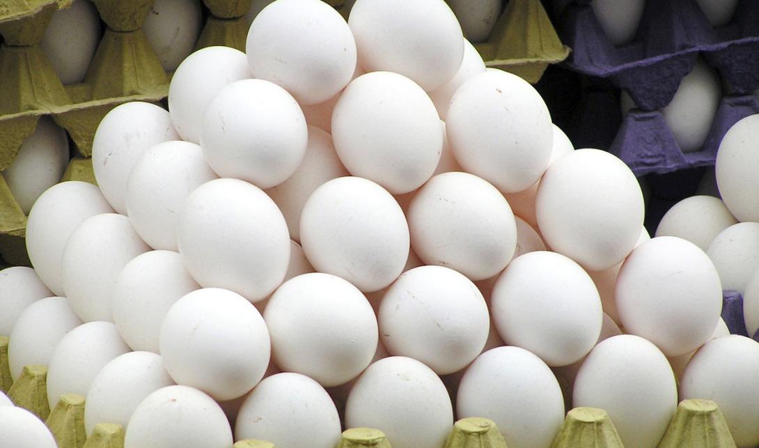 ورود ۲۰ هزار تن تخم مرغ به کشور