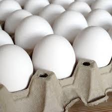 تخم مرغ گران تر از مرغ شد 